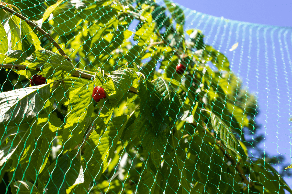 Orchard Bird Netting and Wildlife Control - OrchardValleySupply.com