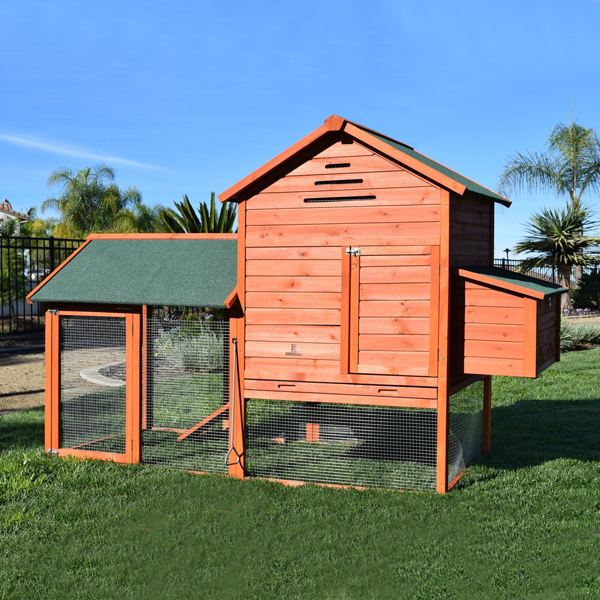 Chicken Coops —