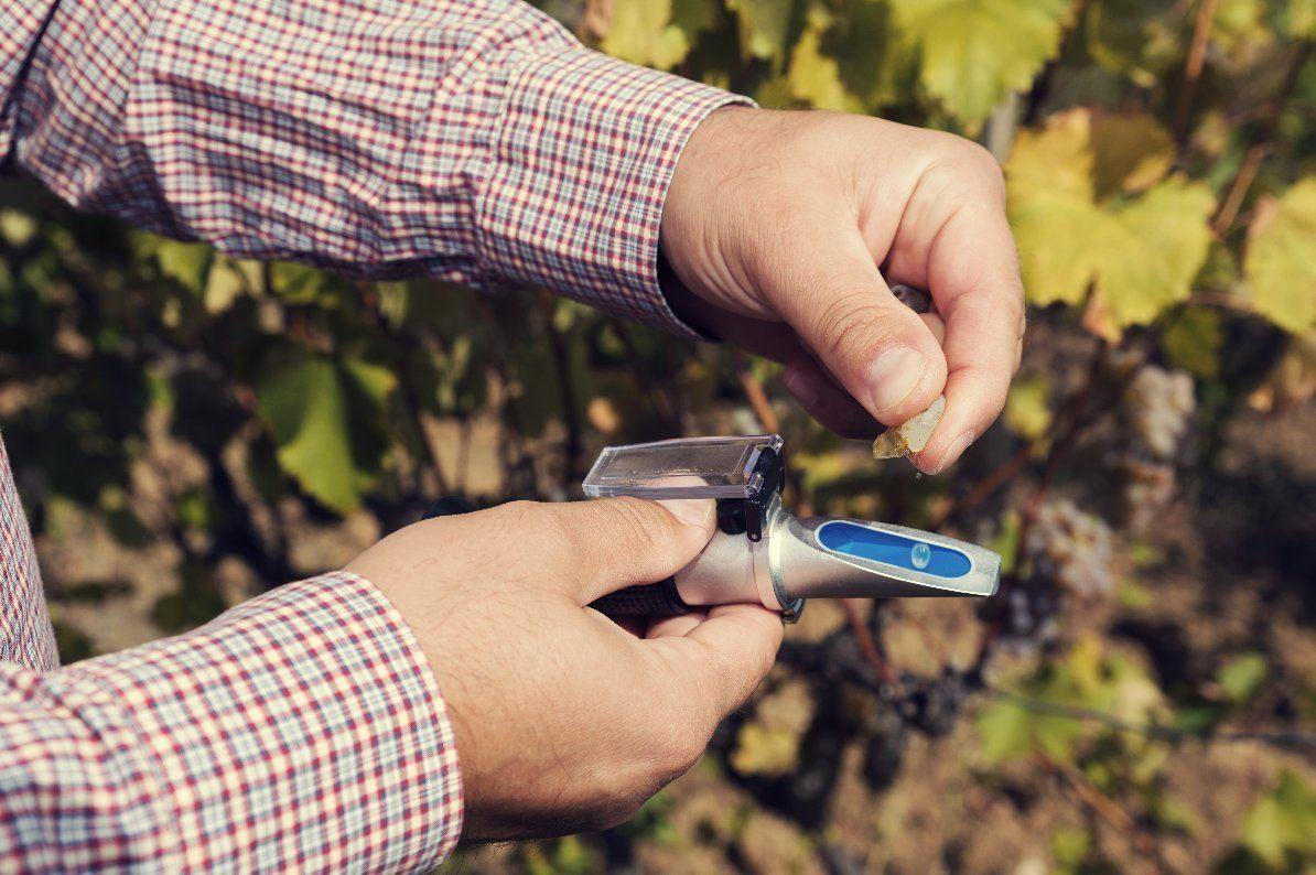 Refractometer and Testing - OrchardValleySupply.com