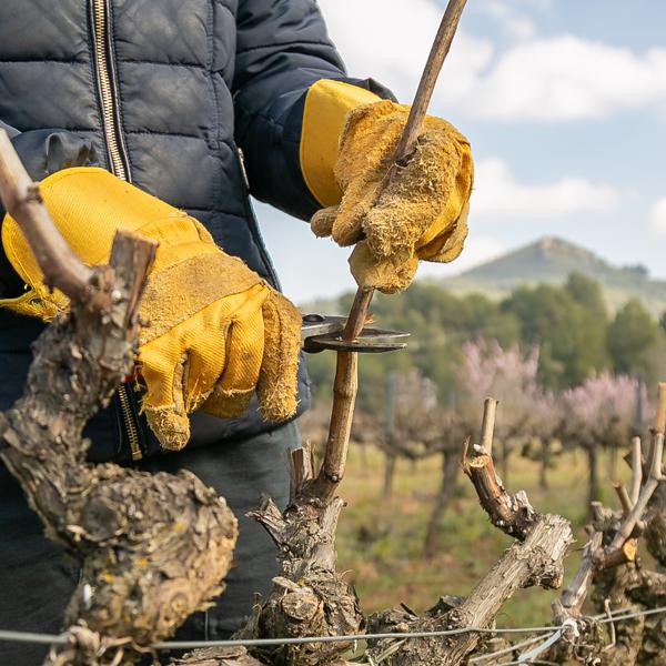 Pruning Tools