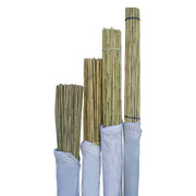 Orchard Valley Supply Bamboo Stakes