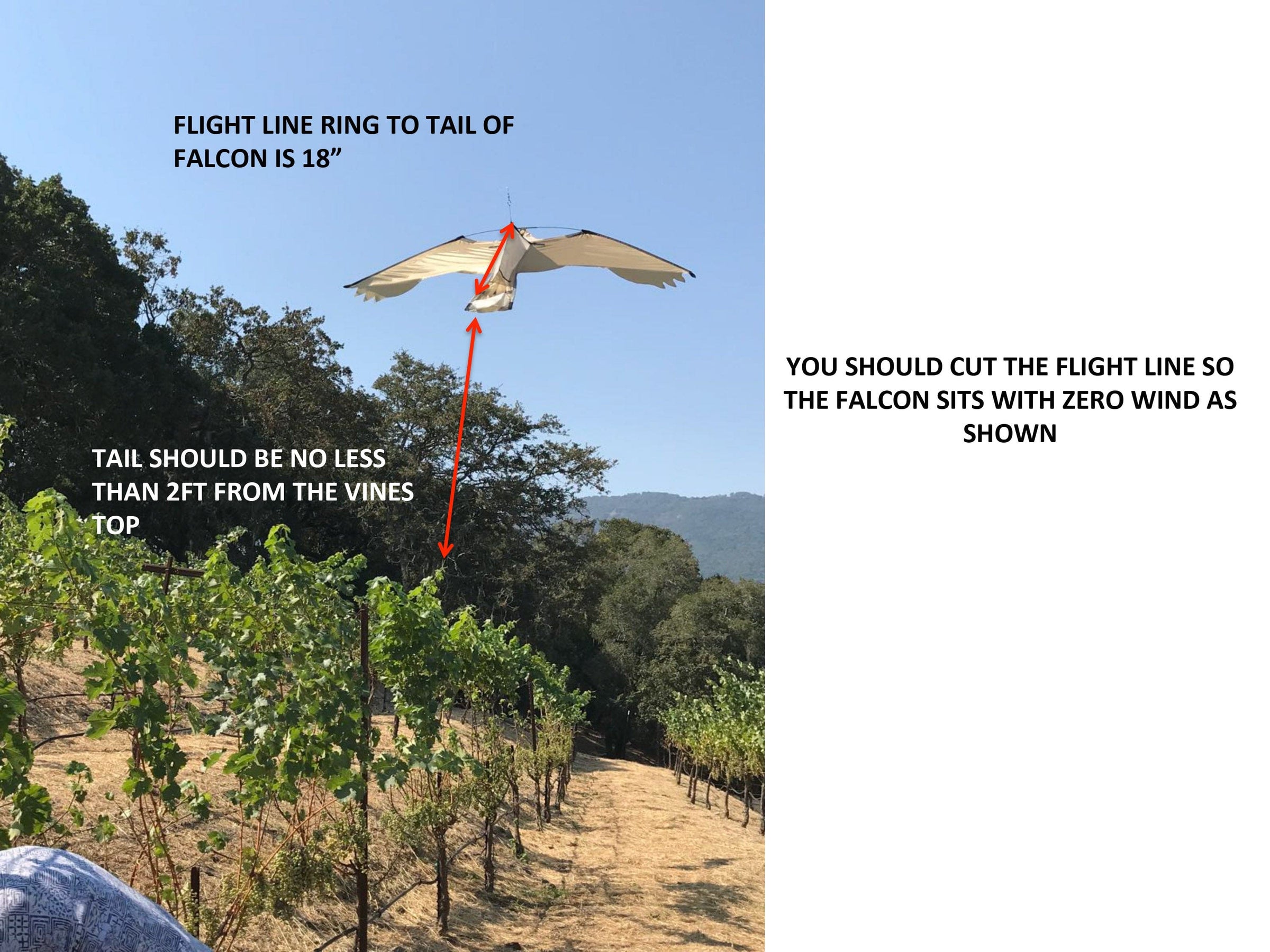 Falcon Kite with Fiberglass Pole — OrchardValleySupply.com