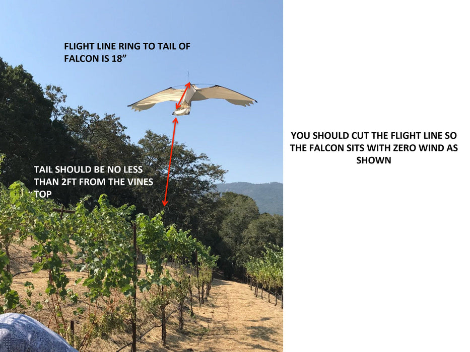Hot Foot America Bird Control Falcon Kite with Fiberglass Pole