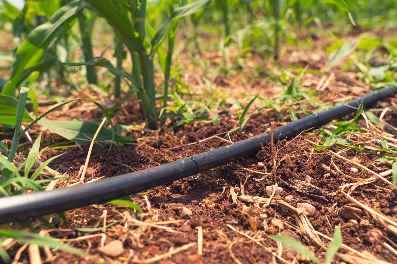 drip tube for irrigation