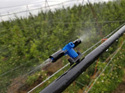 Orchard Valley Supply Jain Foggers