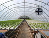 Quiedan Company Greenhouses Green House/Hoop House