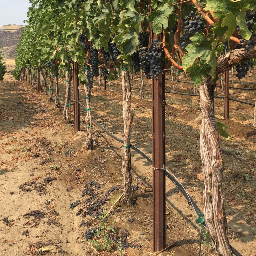 Sign Posts Orchard For Rows Orchard Supplies — OrchardValleySupply.com