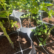 Orchard Valley Supply RootTrapper Soft Sided Fabric Container