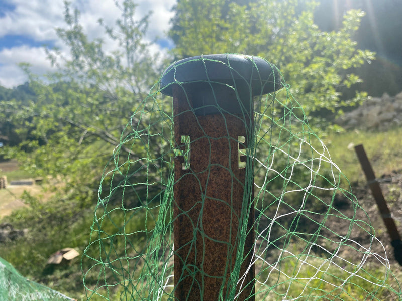 Orchard Valley Supply Post Caps