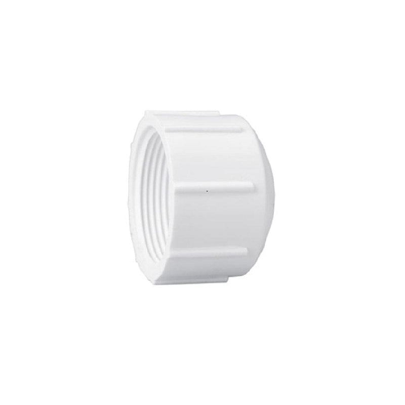 Orchard Valley Supply Schedule 40 PVC Cap - FPT