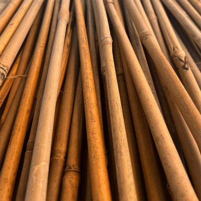Bamboo Stakes —