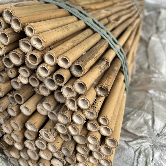 Bamboo Supply Bamboo Stakes Bamboo Stakes