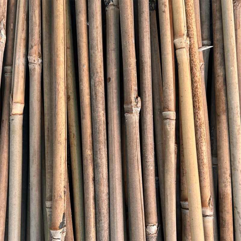 Orchard Valley Supply Bamboo Stakes