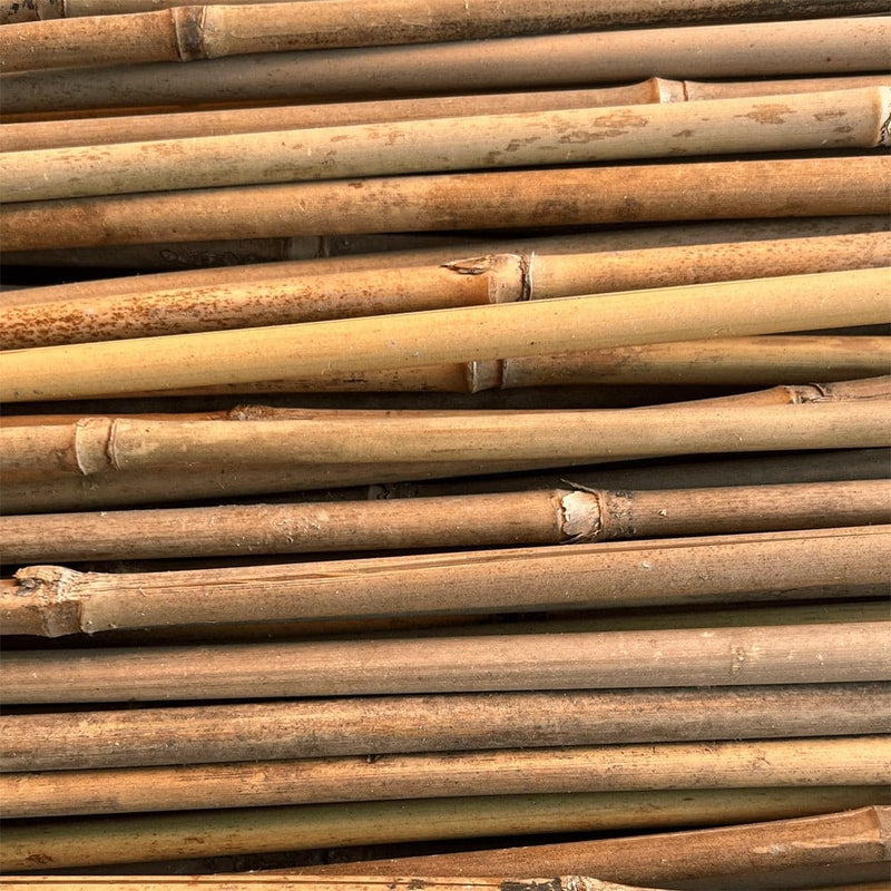 Orchard Valley Supply Bamboo Stakes