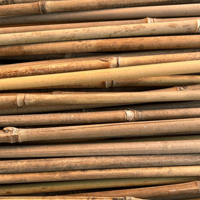 Bamboo Supply Bamboo Stakes Bamboo Stakes