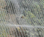 Fujian Shihua Bee Netting Bee Netting