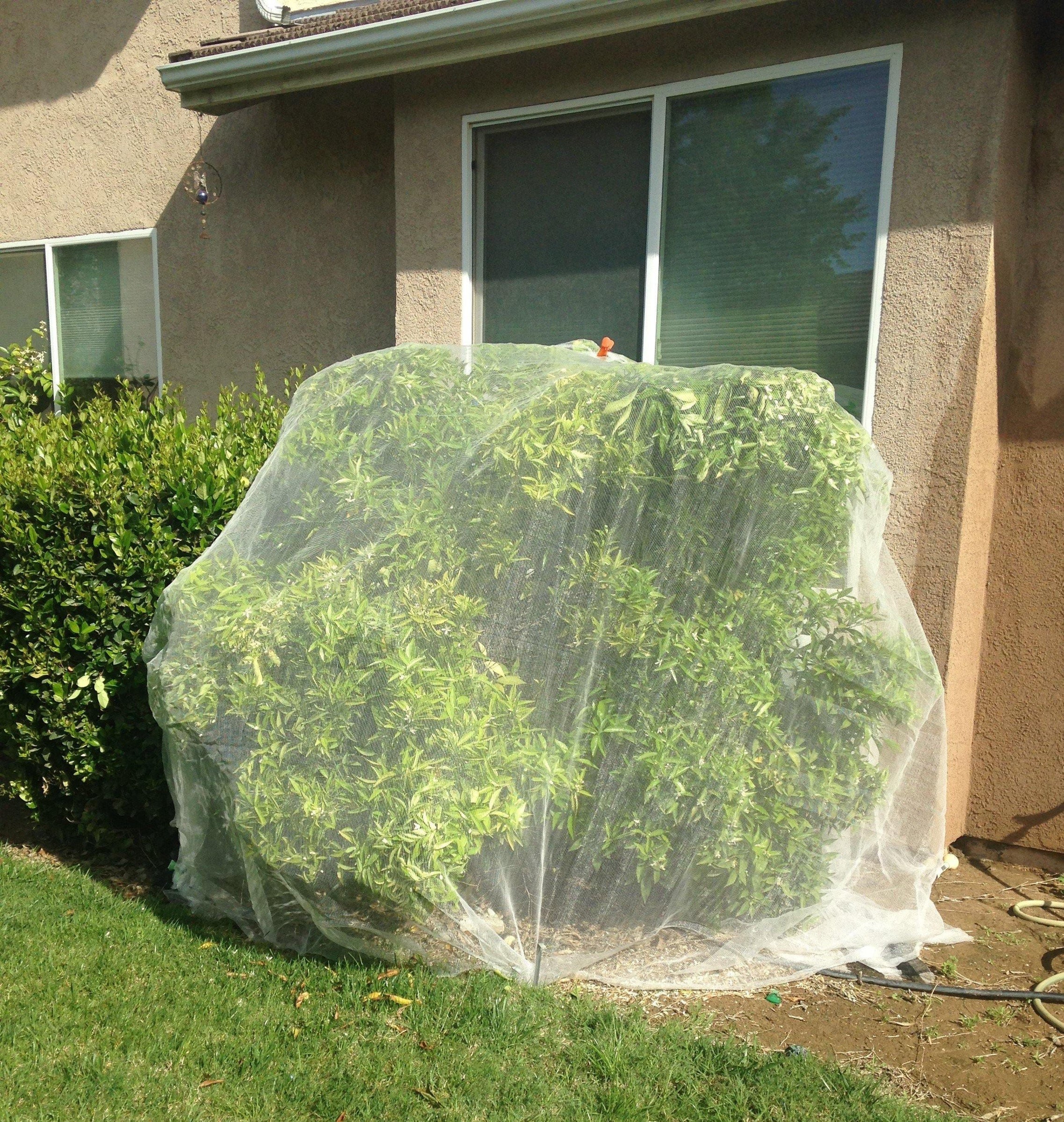 Professional-Grade Bee Netting | Regulate Pollination | Orchard Valley ...