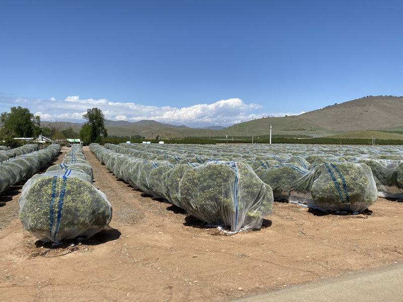 Orchard Valley Supply Bee Netting