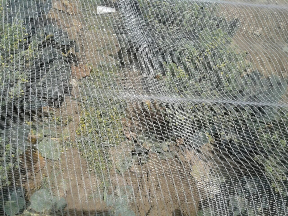 Fujian Shihua Bee Netting Bee Netting