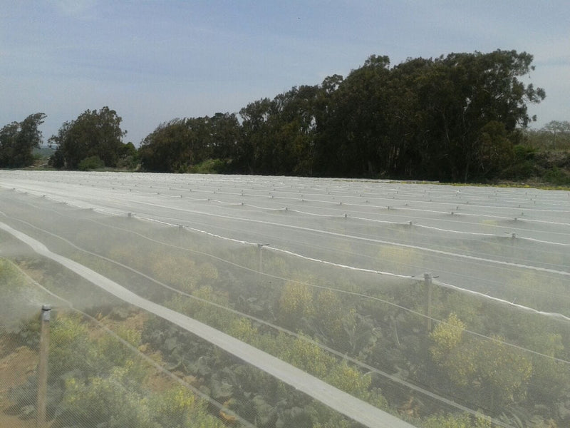 Orchard Valley Supply Bee Netting