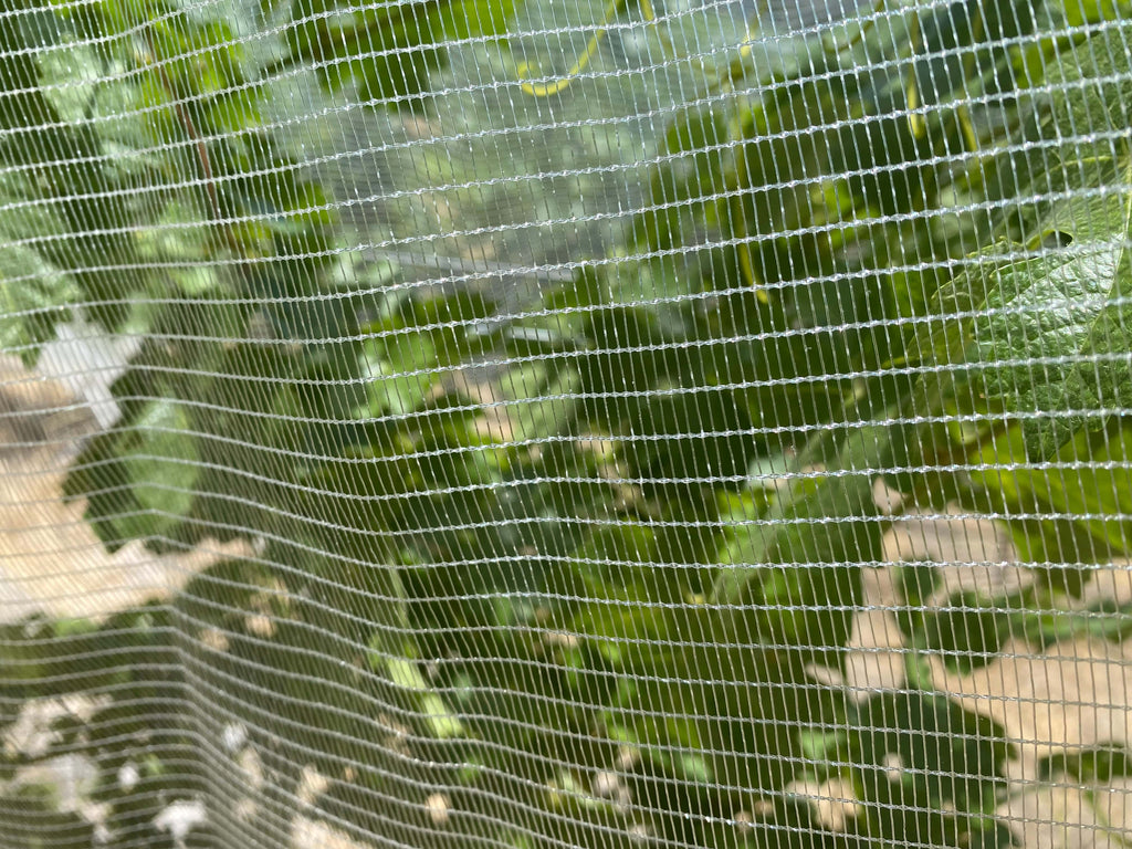 Bird Netting and Wildlife Control —