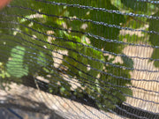 Orchard Valley Supply Bee Netting - Side/Zone Netting