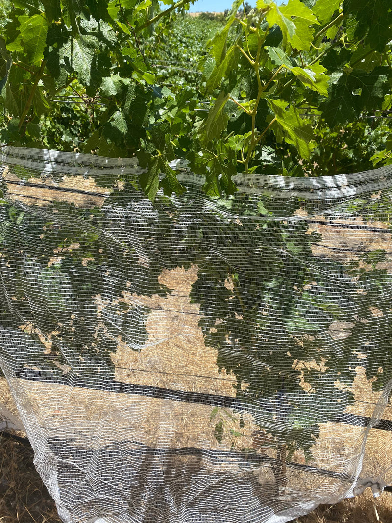 Orchard Valley Supply Bee Netting - Side/Zone Netting