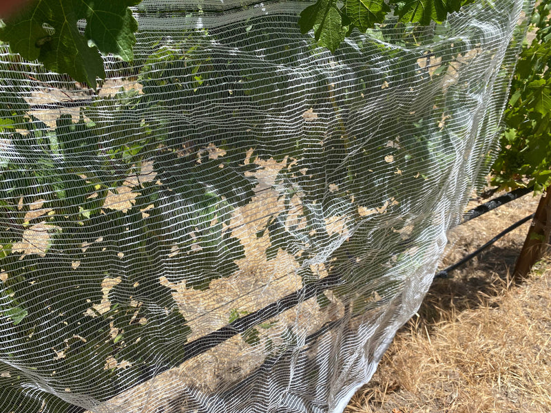 Orchard Valley Supply Bee Netting - Side/Zone Netting