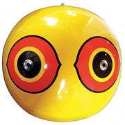 Orchard Valley Supply Bird Control Scare Eye Balloons Yellow