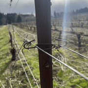 Orchard Valley Supply JR Clip for T Posts