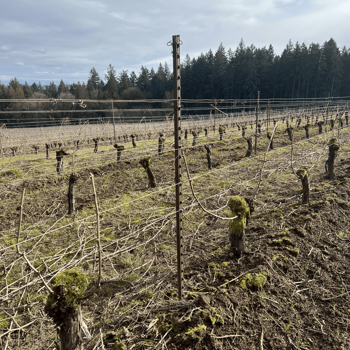 JR Clip for T Posts — OrchardValleySupply.com