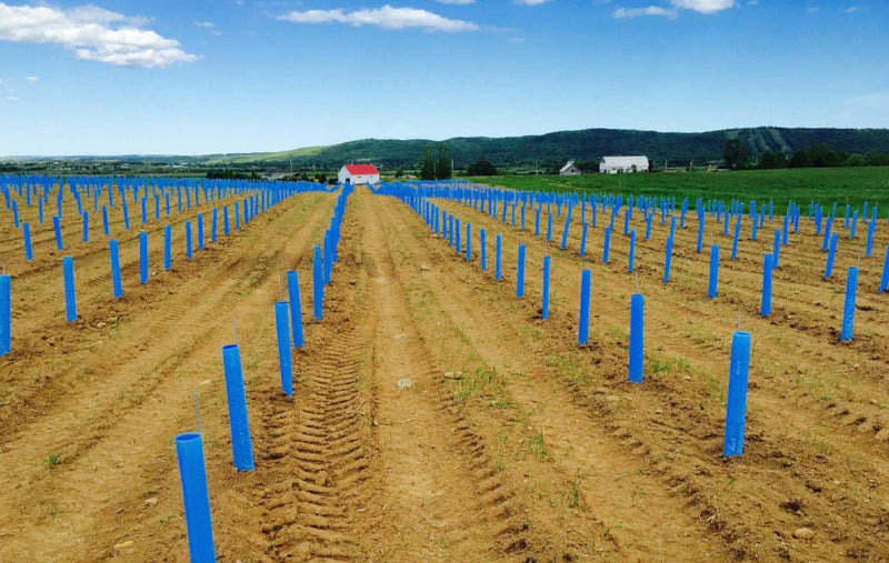 Orchard Valley Supply Blue-X Grow Tubes