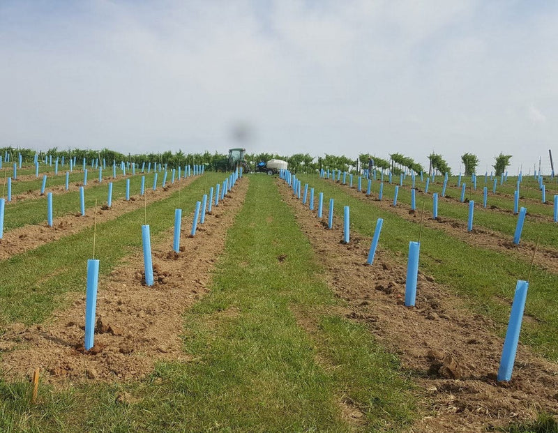 Orchard Valley Supply Blue-X Grow Tubes