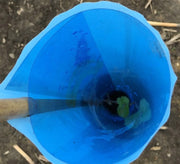 Orchard Valley Supply Blue-X Grow Tubes