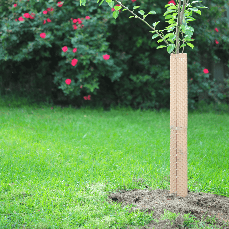 Orchard Valley Supply SHELLT Grow Tubes