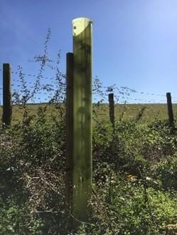 Orchard Valley Supply Vigilis Tree Tubes