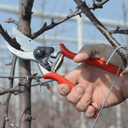Orchard Valley Supply Felco 2 Pruner