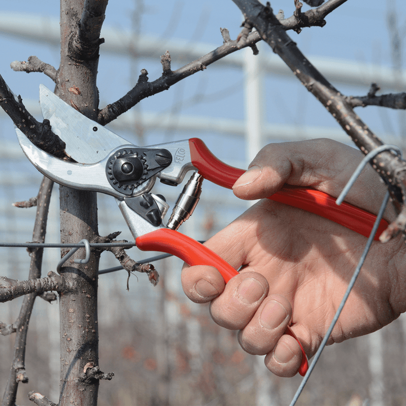 Orchard Valley Supply Felco 2 Pruner