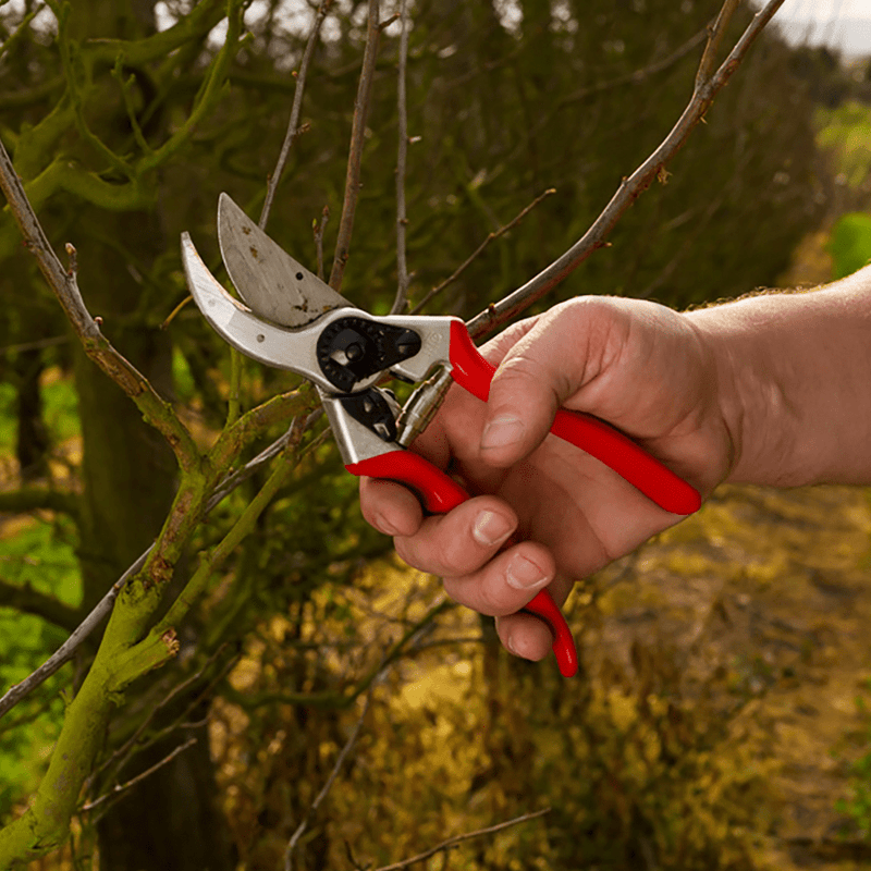 felco garden scissors Felco 2 Pruning Shears – 25 mm Cutting Diameter, for Large Hands, 215 mm