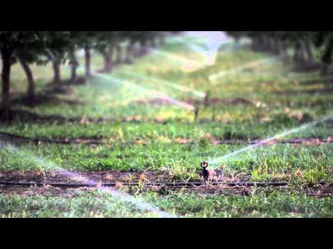 Nelson R10 Rotator Sprinkler — OrchardValleySupply.com