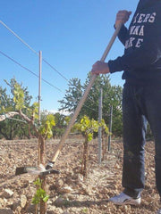 Orchard Valley Supply Manual Shoot Remover