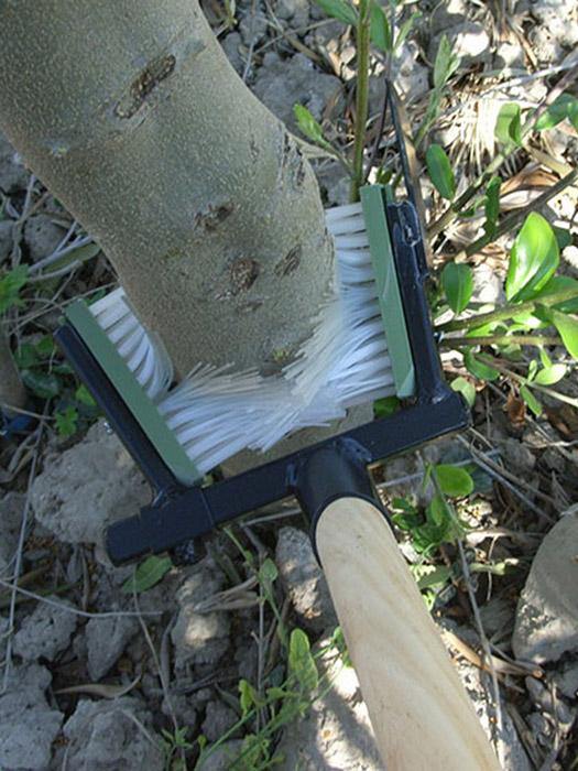 Orchard Valley Supply Manual Shoot Remover