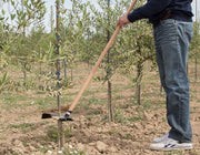 Orchard Valley Supply Manual Shoot Remover