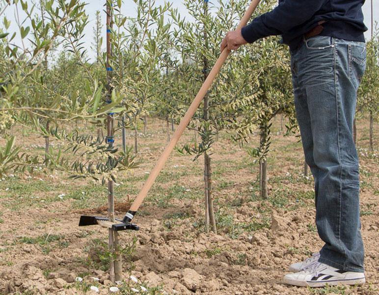 Orchard Valley Supply Manual Shoot Remover