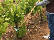 Orchard Valley Supply Manual Shoot Remover