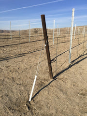 Orchard Valley Supply Oil Pipe End Posts, 50/Bundle