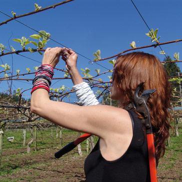 Orchard Valley Supply Klipon Tu.it Cloth Ties - 2000/bag