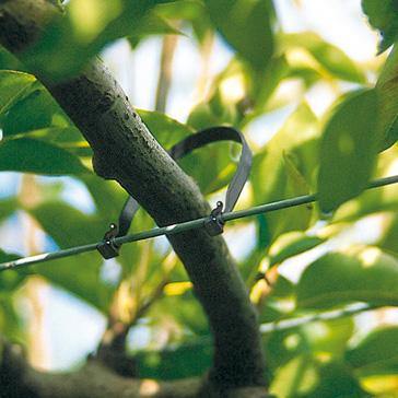 Klipon Plant Training Vine & Tree Ties/Clips