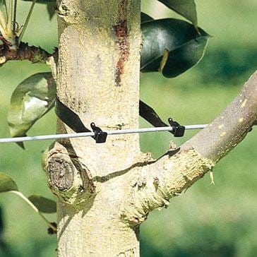 Grapevine Clips Klipon Vine & Tree Clips — OrchardValleySupply.com