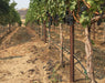 Orchard Valley Supply Metal Posts Metal Posts - Rolled Edge and Notched